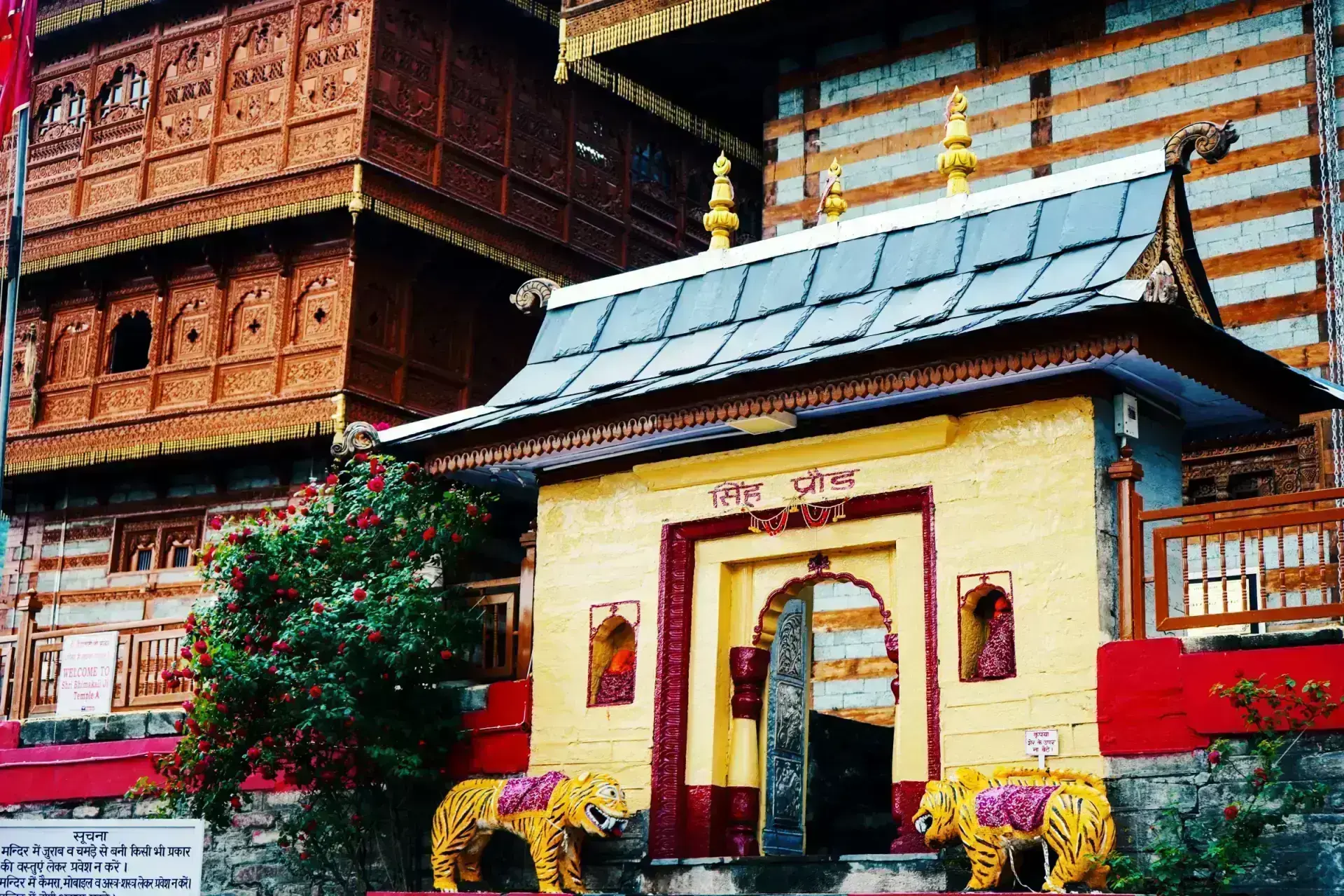 Cozy Cafés of Jibhi