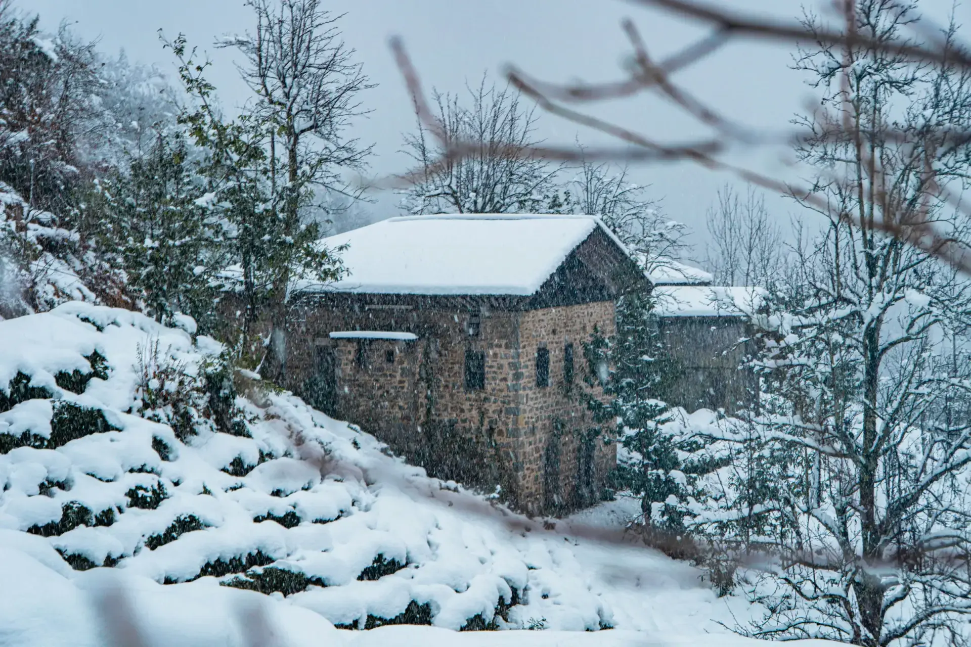 Jibhi - Tirthan Valley tour package