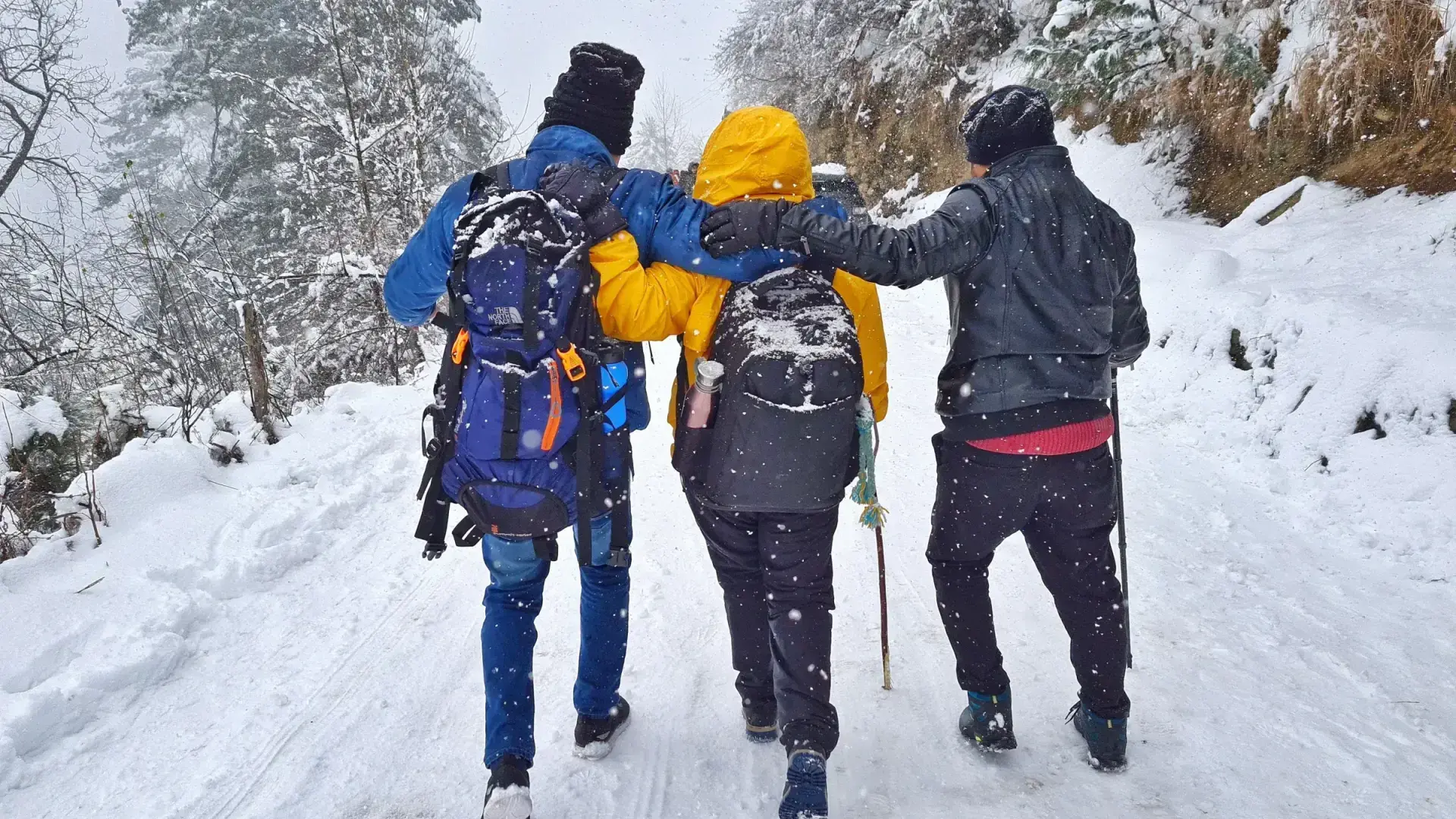 Snow Adventure in Jibhi