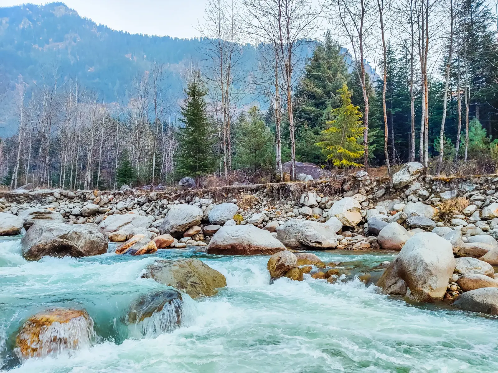 Parvati River, Kasol
