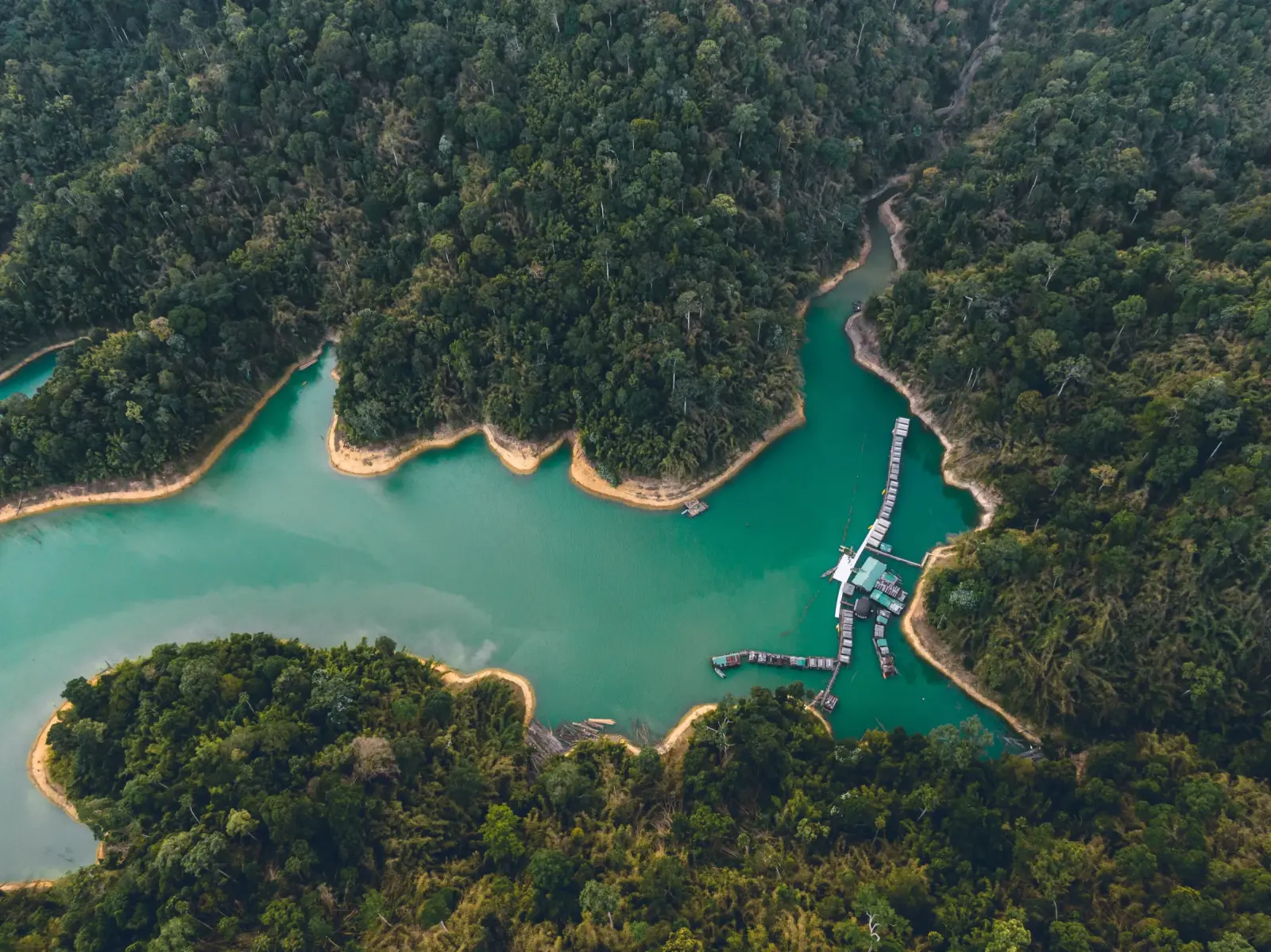 Turquoise river bends seen from above