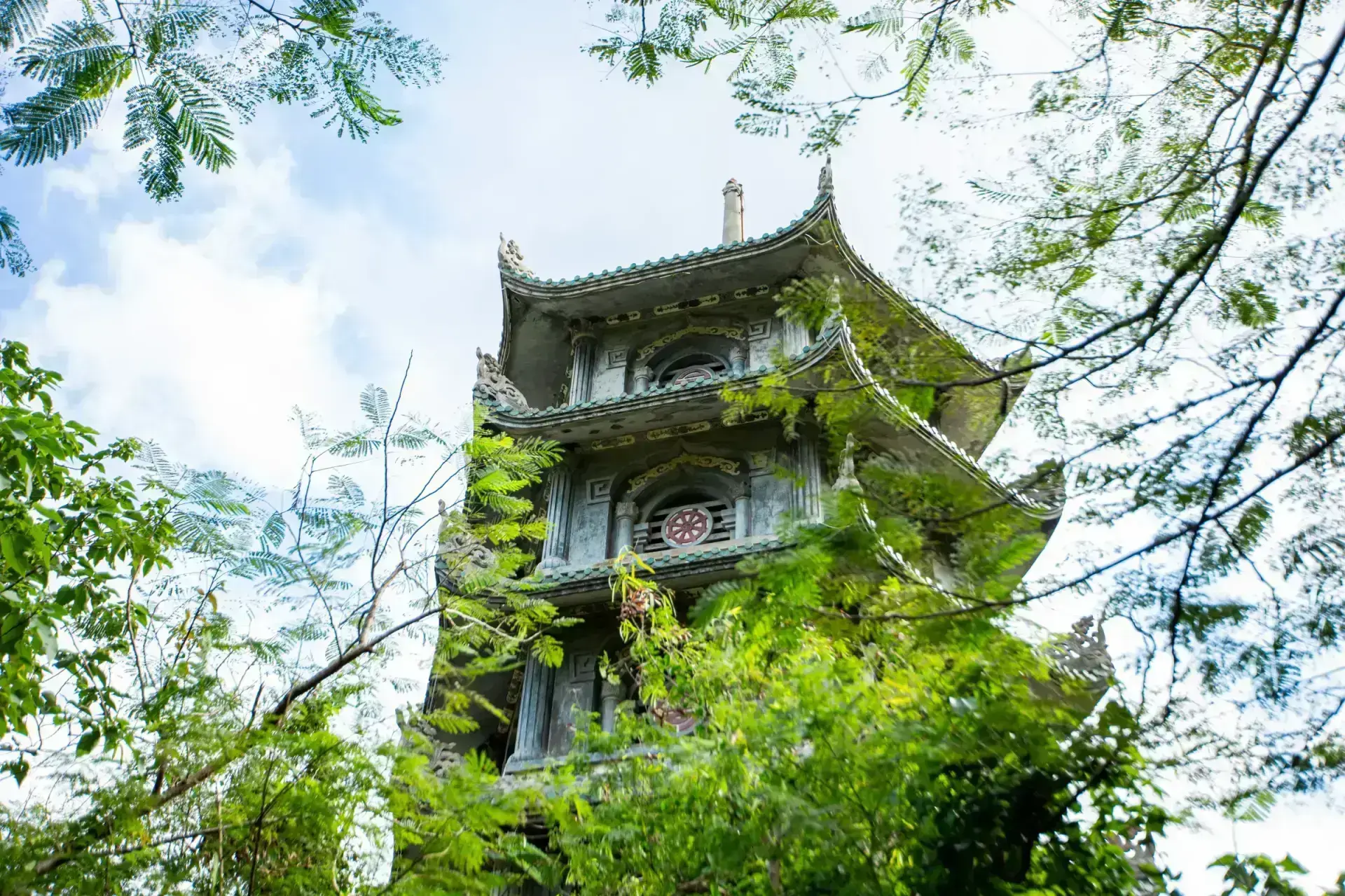 Lush Vietnam Mountain Trails