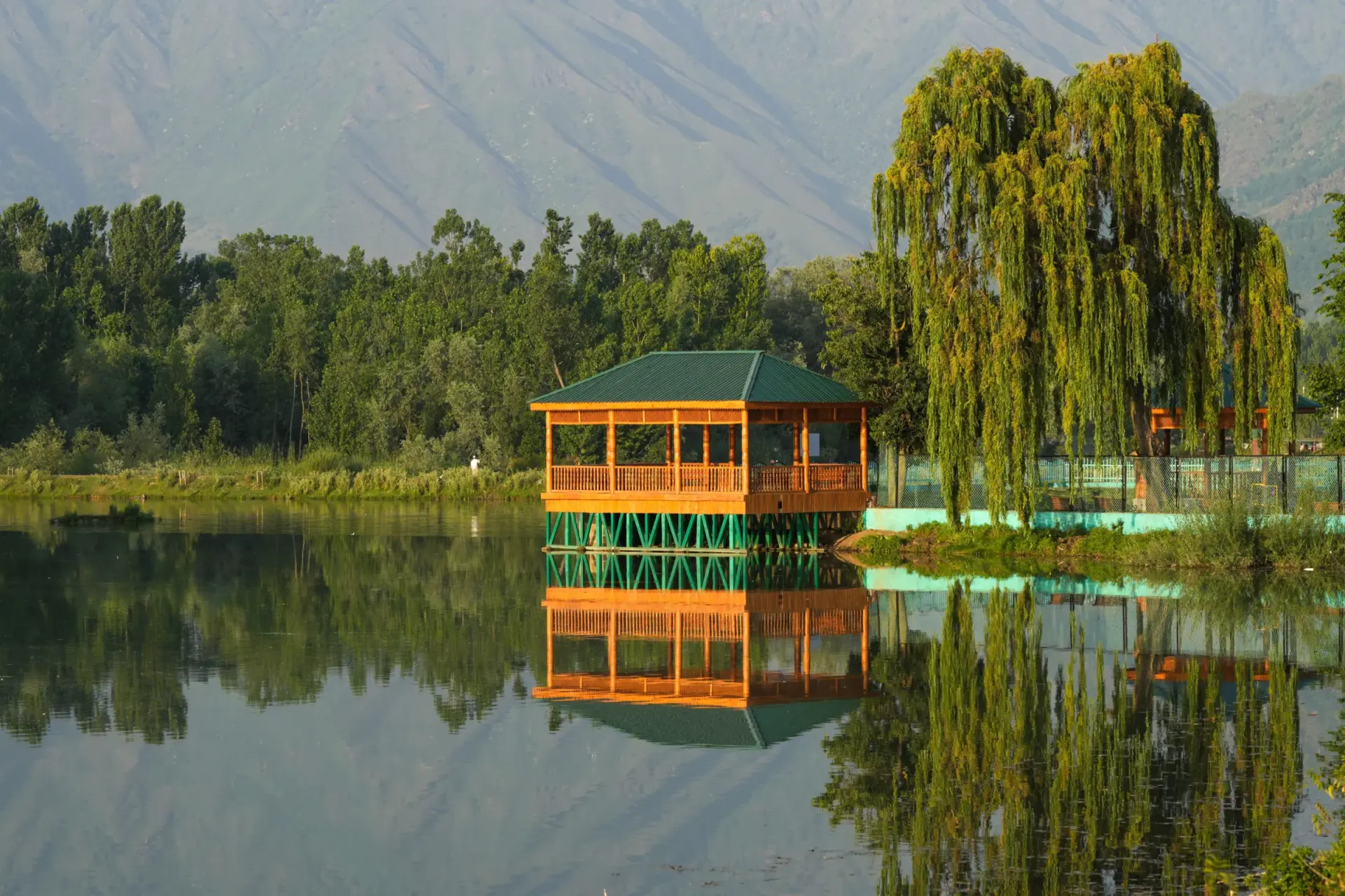 Shikara Ride on Dal Lake