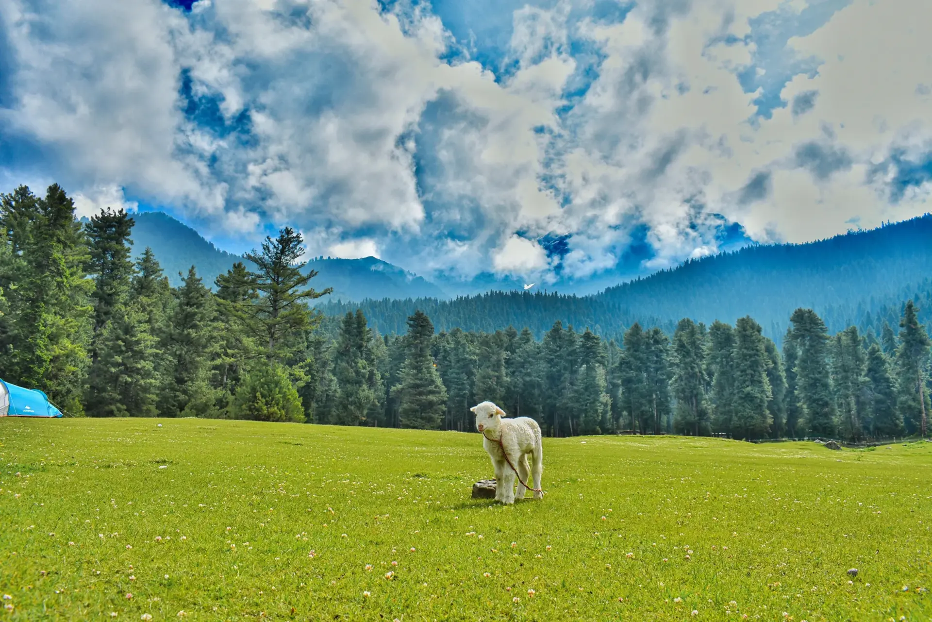 Pahalgam Valley Views