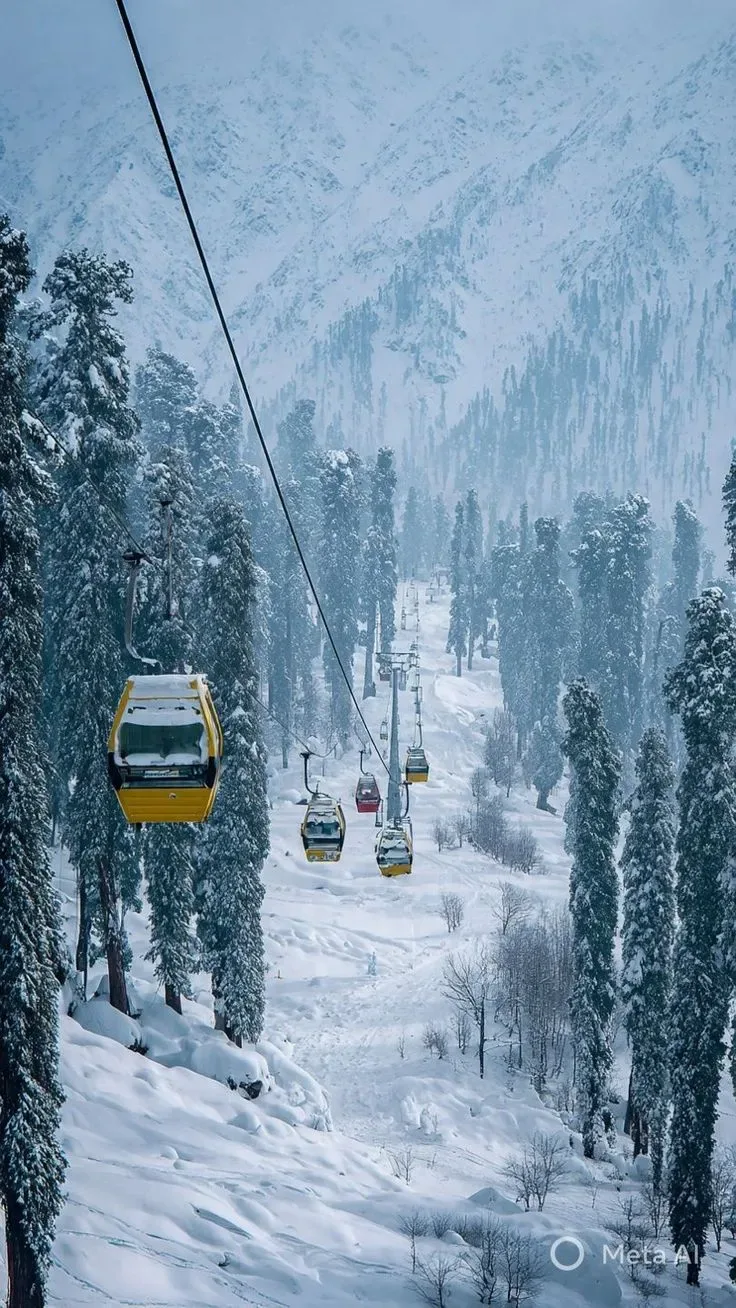 A Gondola Through the Snow