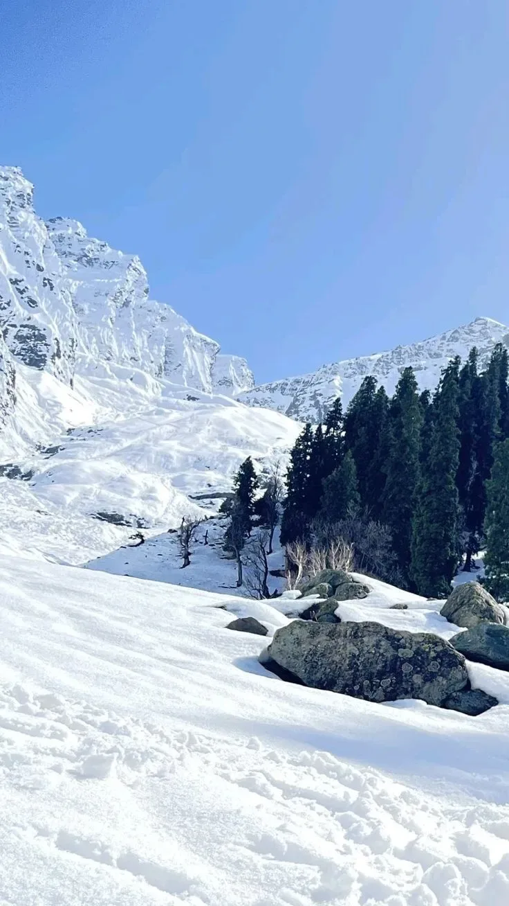 Winter Wonderland